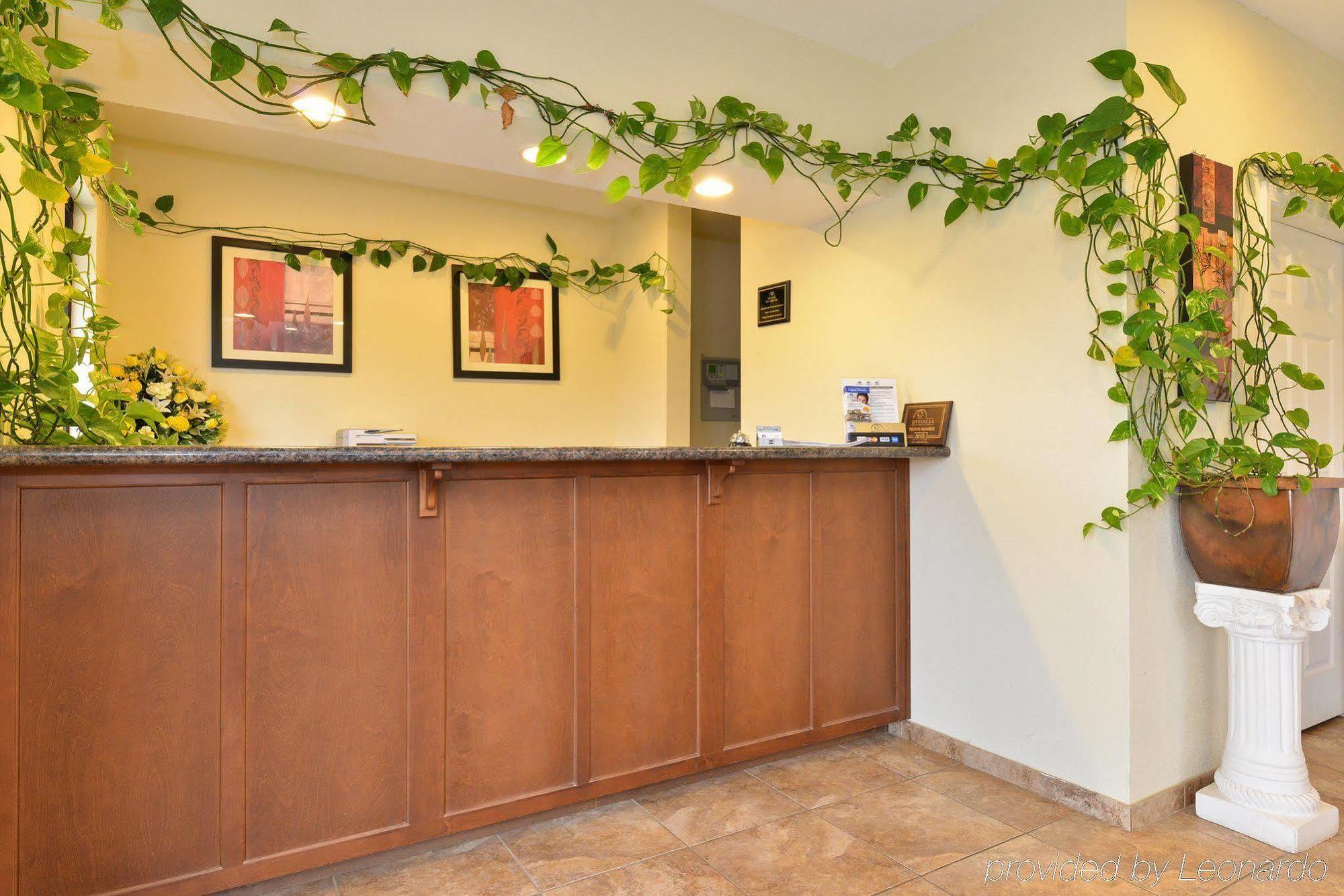 Americas Best Value Inn Byhalia Zewnętrze zdjęcie